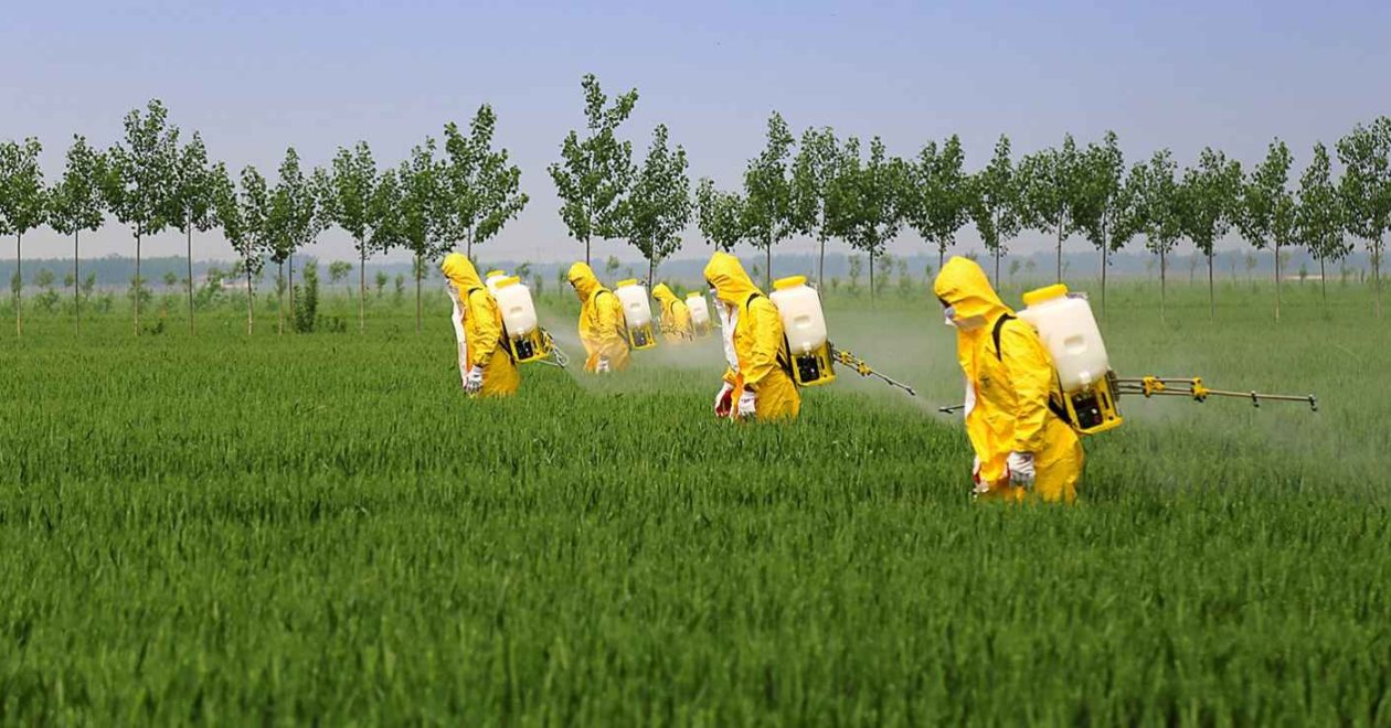 Multiple-choice-Questions-on-Pesticides-1260×660
